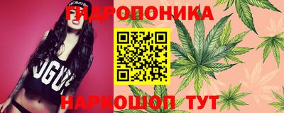 ГАЛЛЮЦИНОГЕННЫЕ ГРИБЫ Мариинск