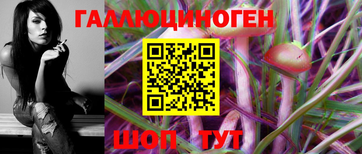 Северск  Псилоцибиновые грибы мицелий  Вход с VPN 